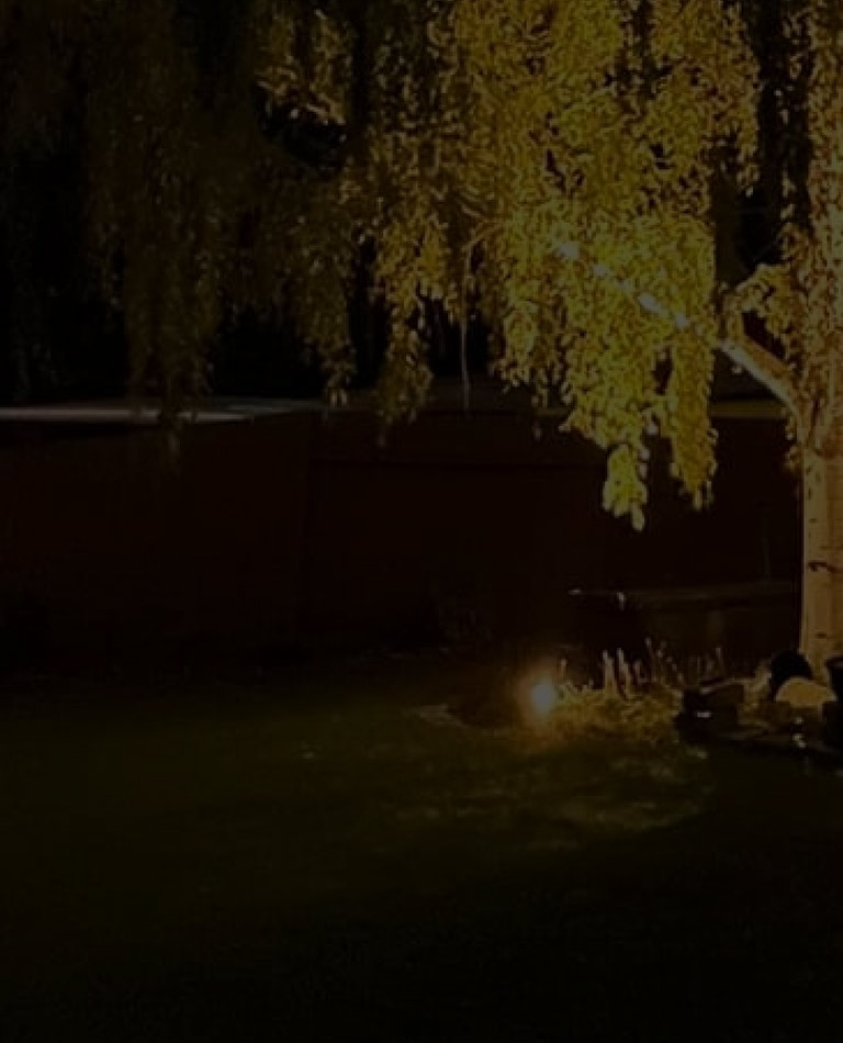 Outdoor landscape lighting hero mobile