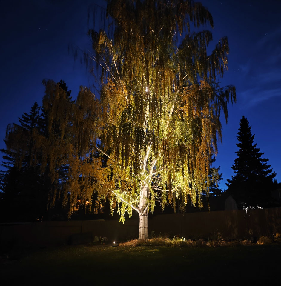 Landscape lighting